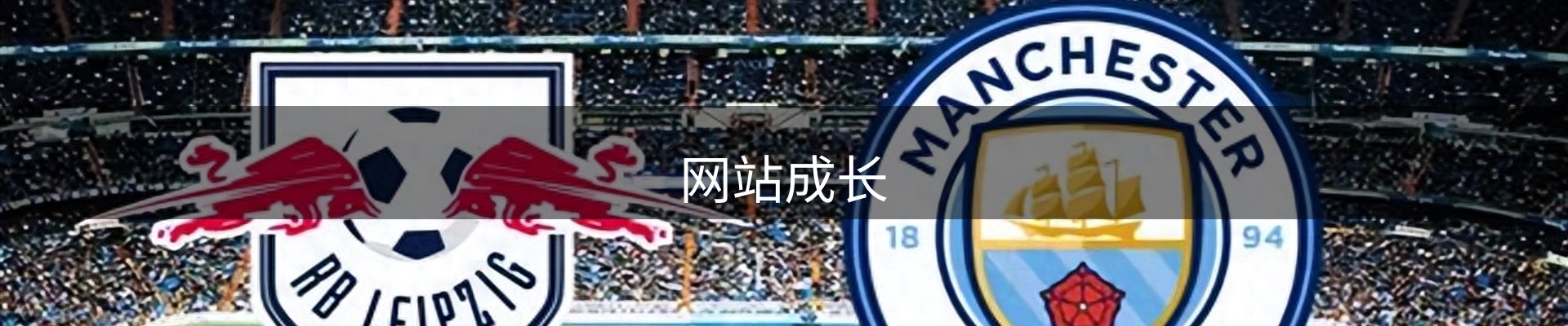 网站成长